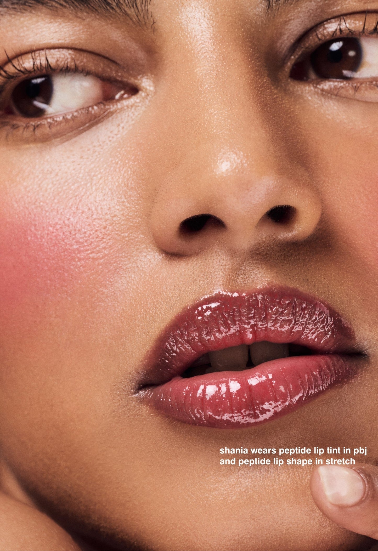the peptide lip tints