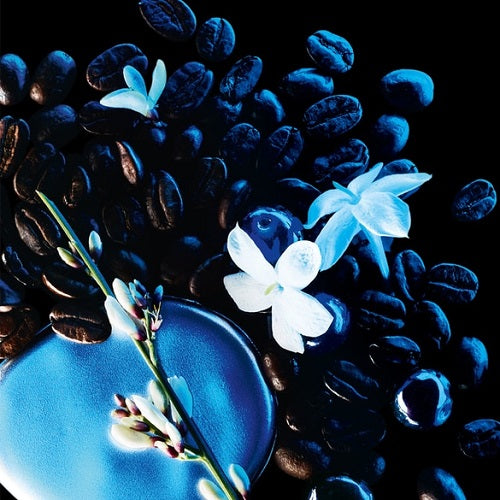 BLACK OPIUM Eau de Parfum Intense