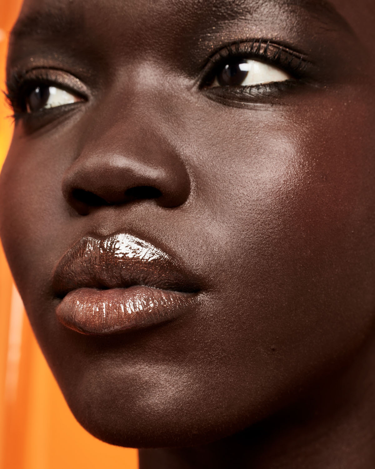 Gloss Bomb Oil Luminizing Lip Oil N' Gloss — Coppa Cookie
