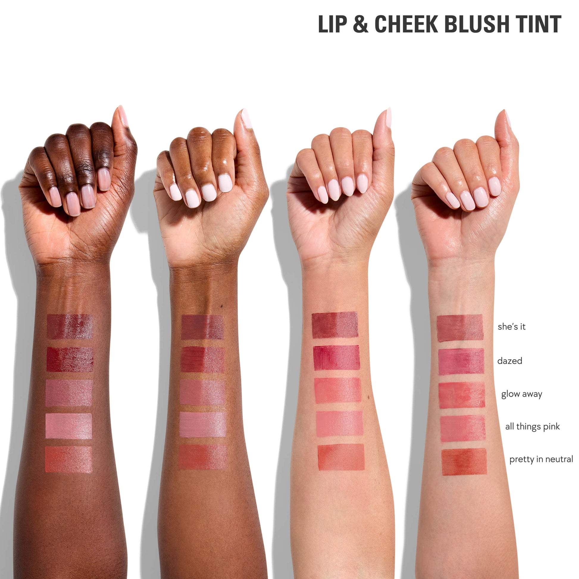 Lip & Cheek Blush Tint & Precision Pout Lip Liner Duo