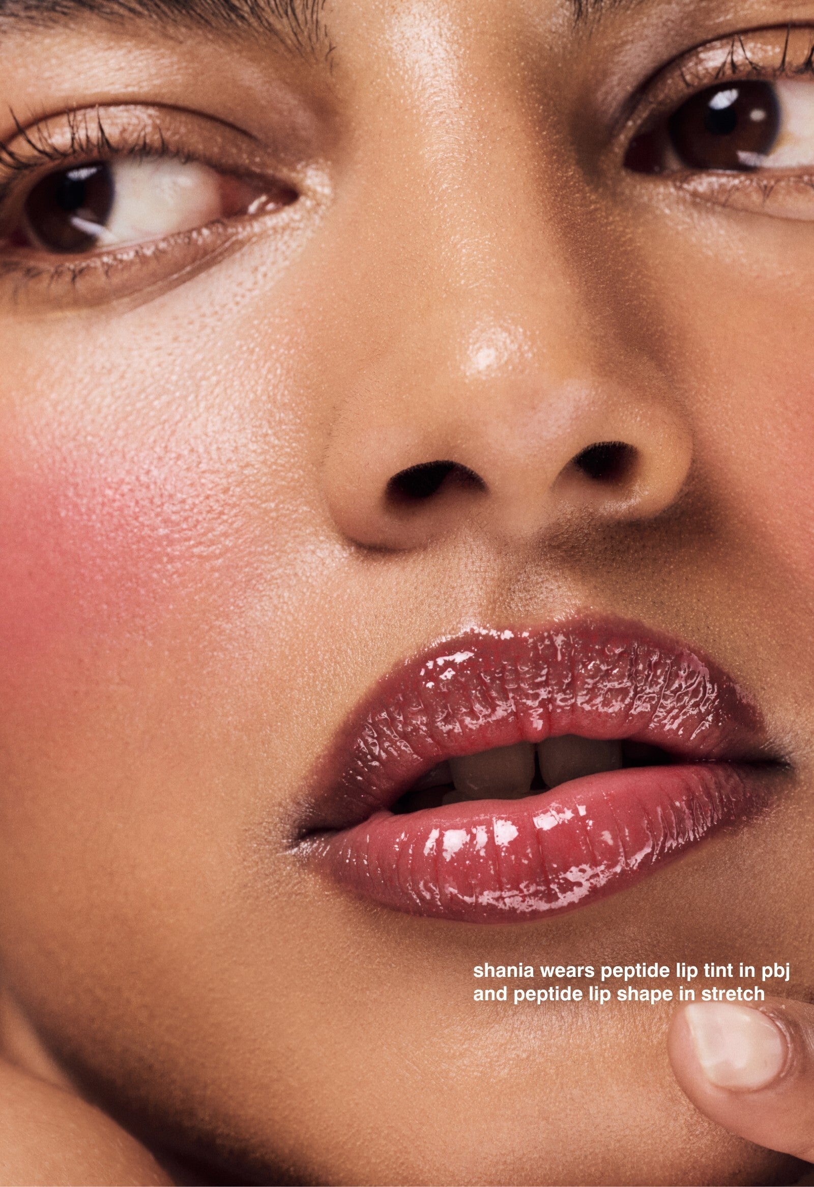 the peptide lip tints