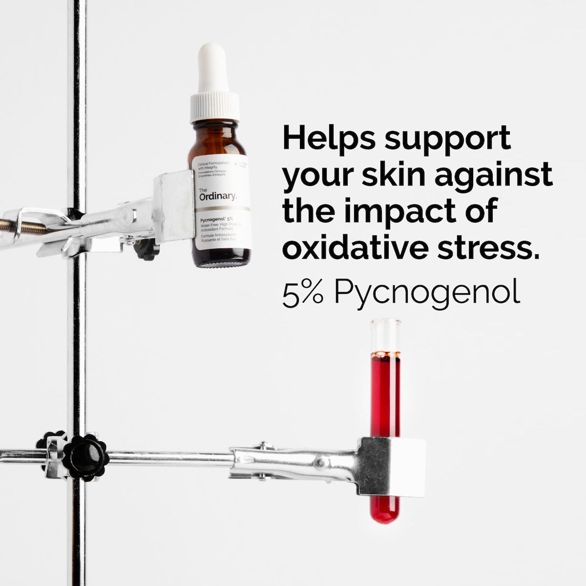 Pycnogenol 5% – The Ordinary | 15ml