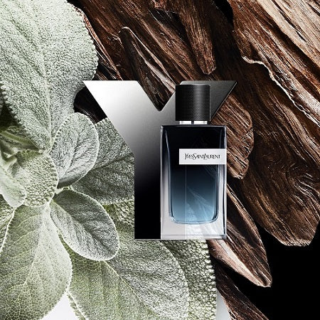 Y Eau de Parfum