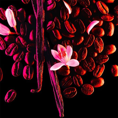 BLACK OPIUM Eau de Parfum