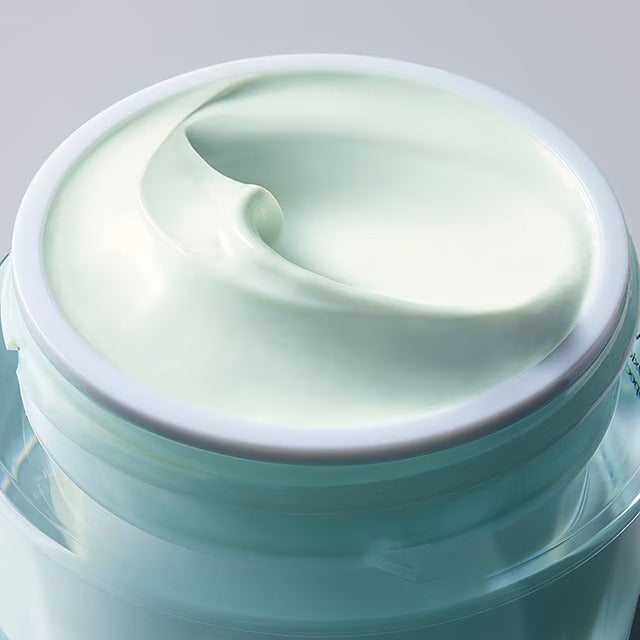 DayWear Moisturizer Multi-Protection Anti-Oxidant 24H‑Moisture Cream SPF 15 - 100ml
