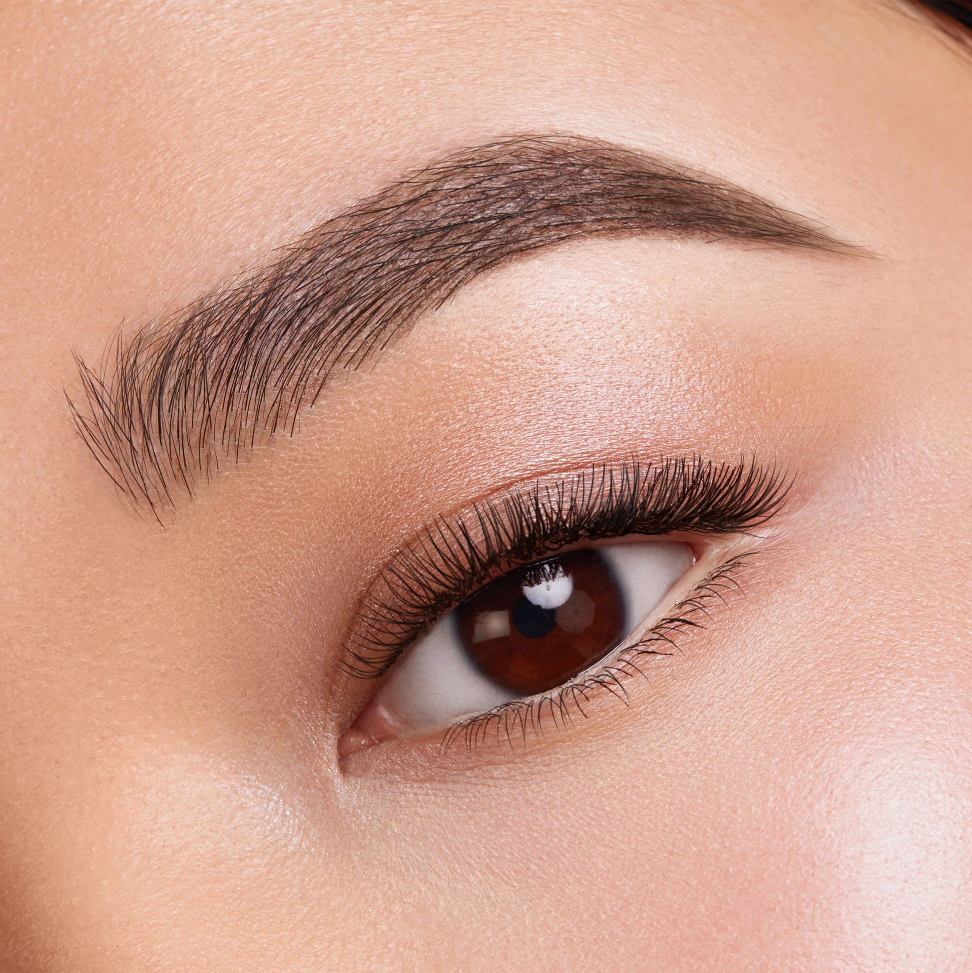 Kybrow Kit