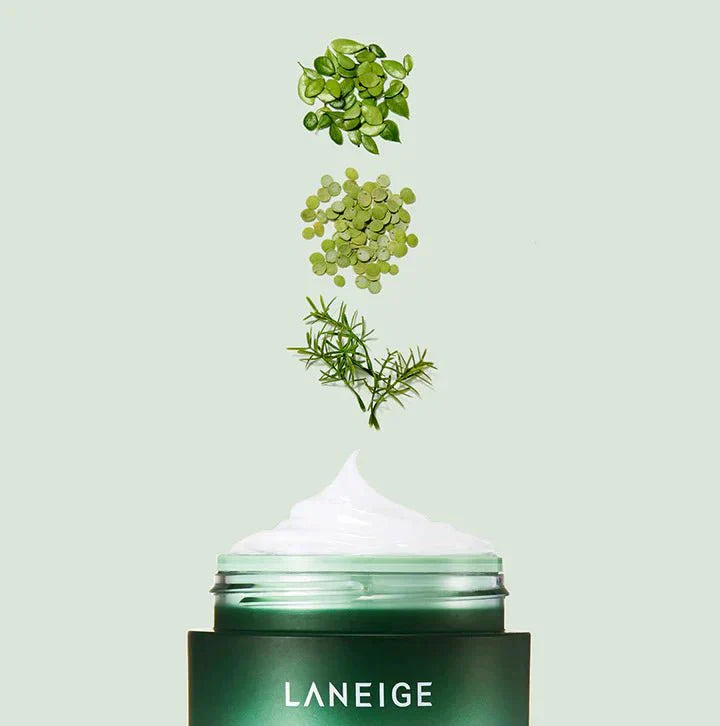 LANEIGE - Cica Sleeping Mask - 60 ml
