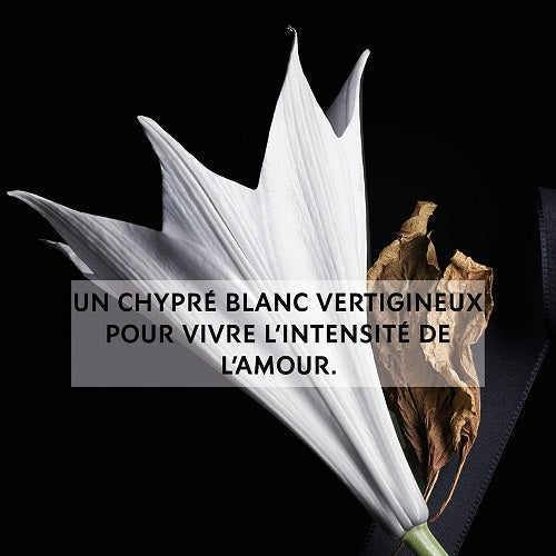 MON PARIS Eau de Parfum