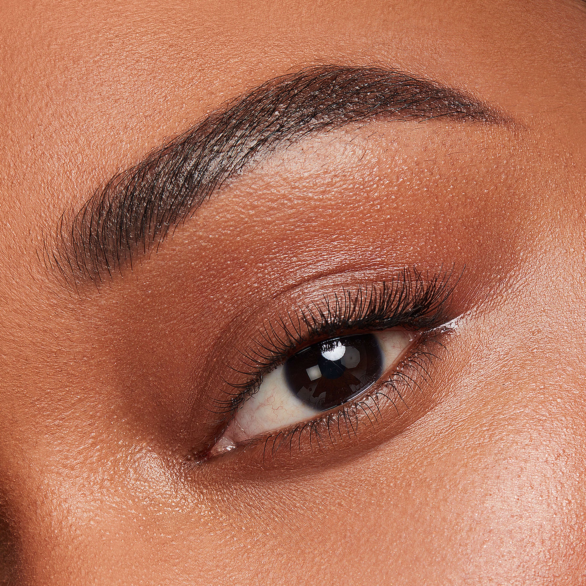 Kybrow Kit