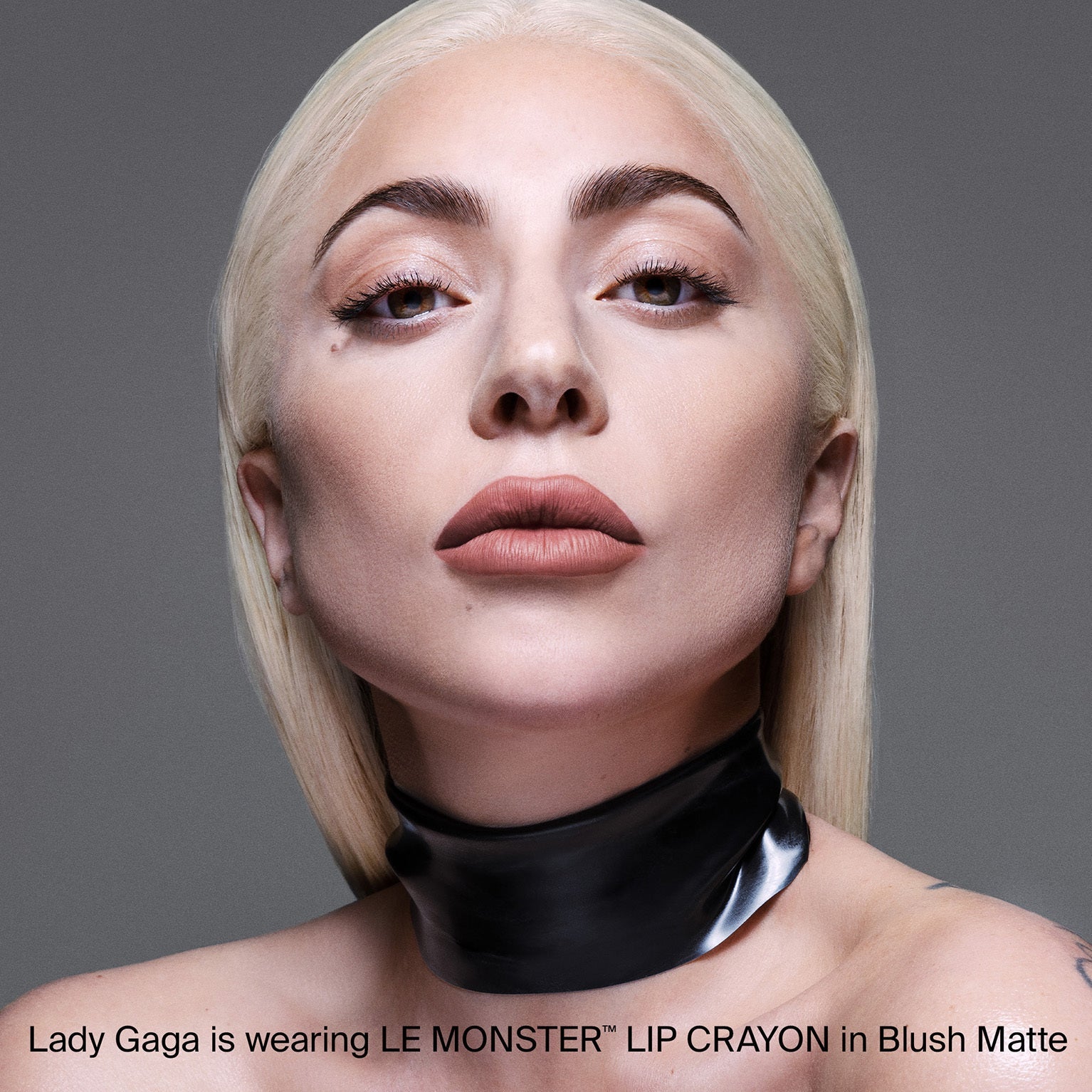 LE MONSTER LIP CRAYON