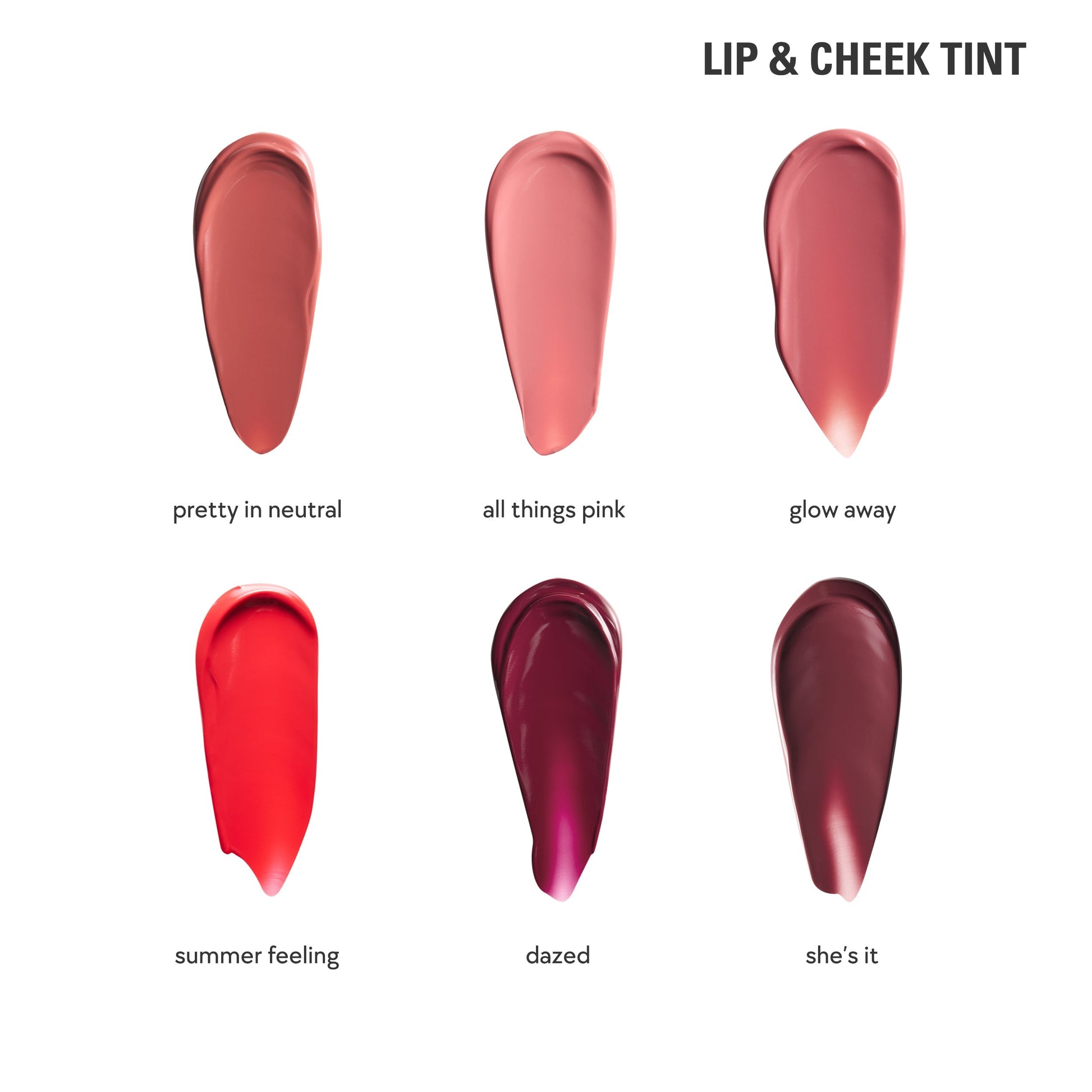 Lip & Cheek Blush Tint & Precision Pout Lip Liner Duo