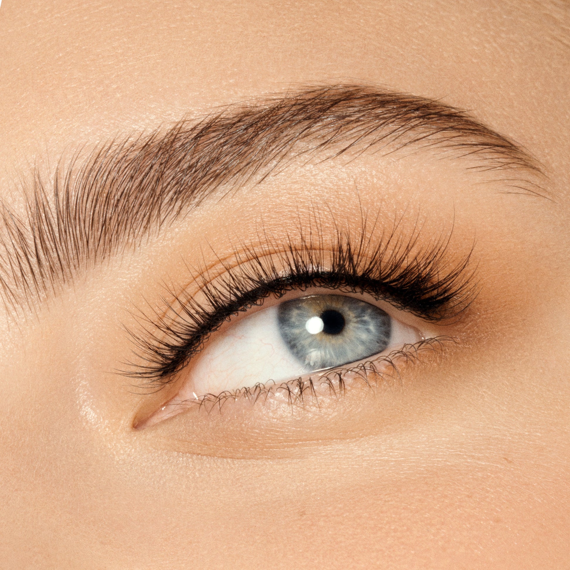 Full Lash