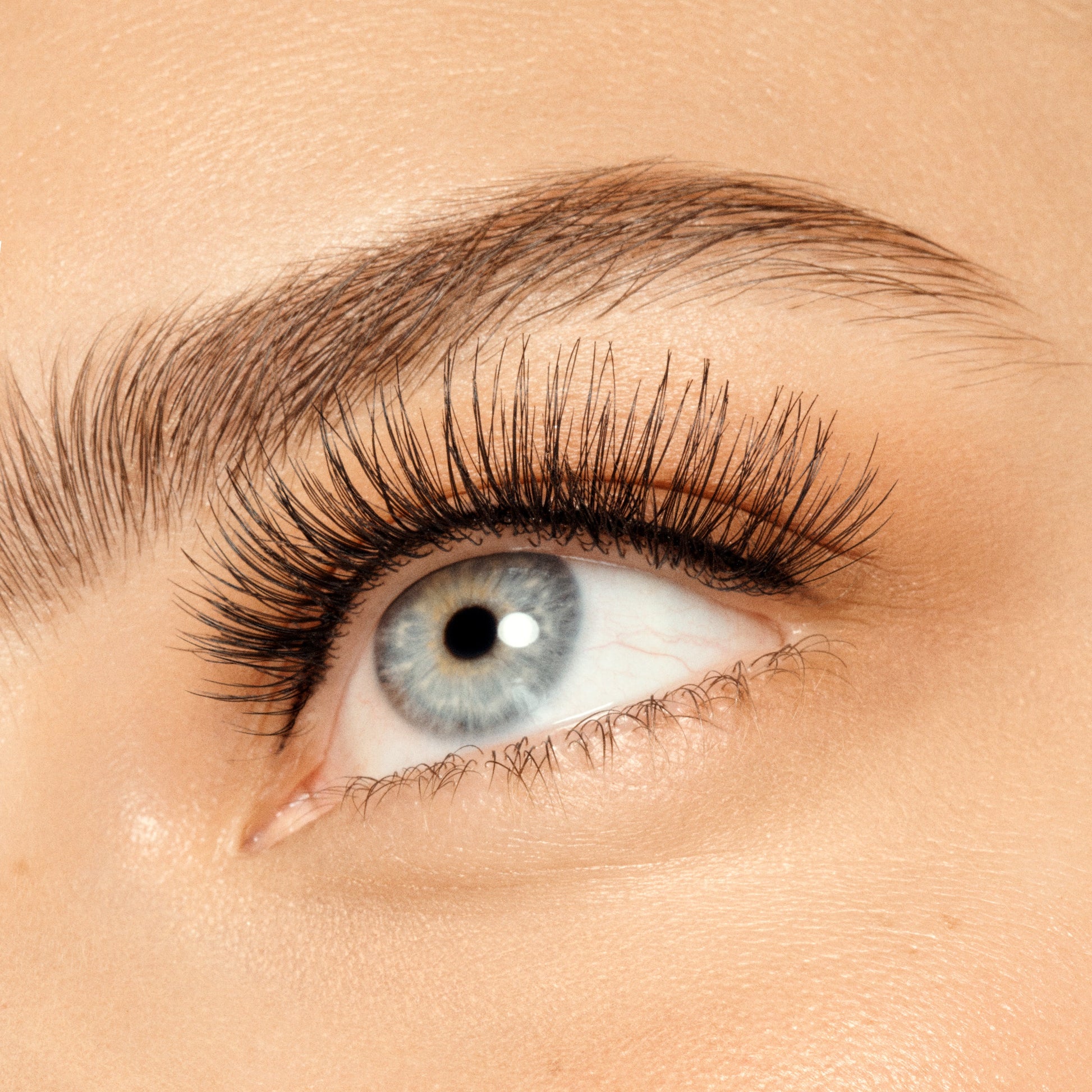 Full Lash
