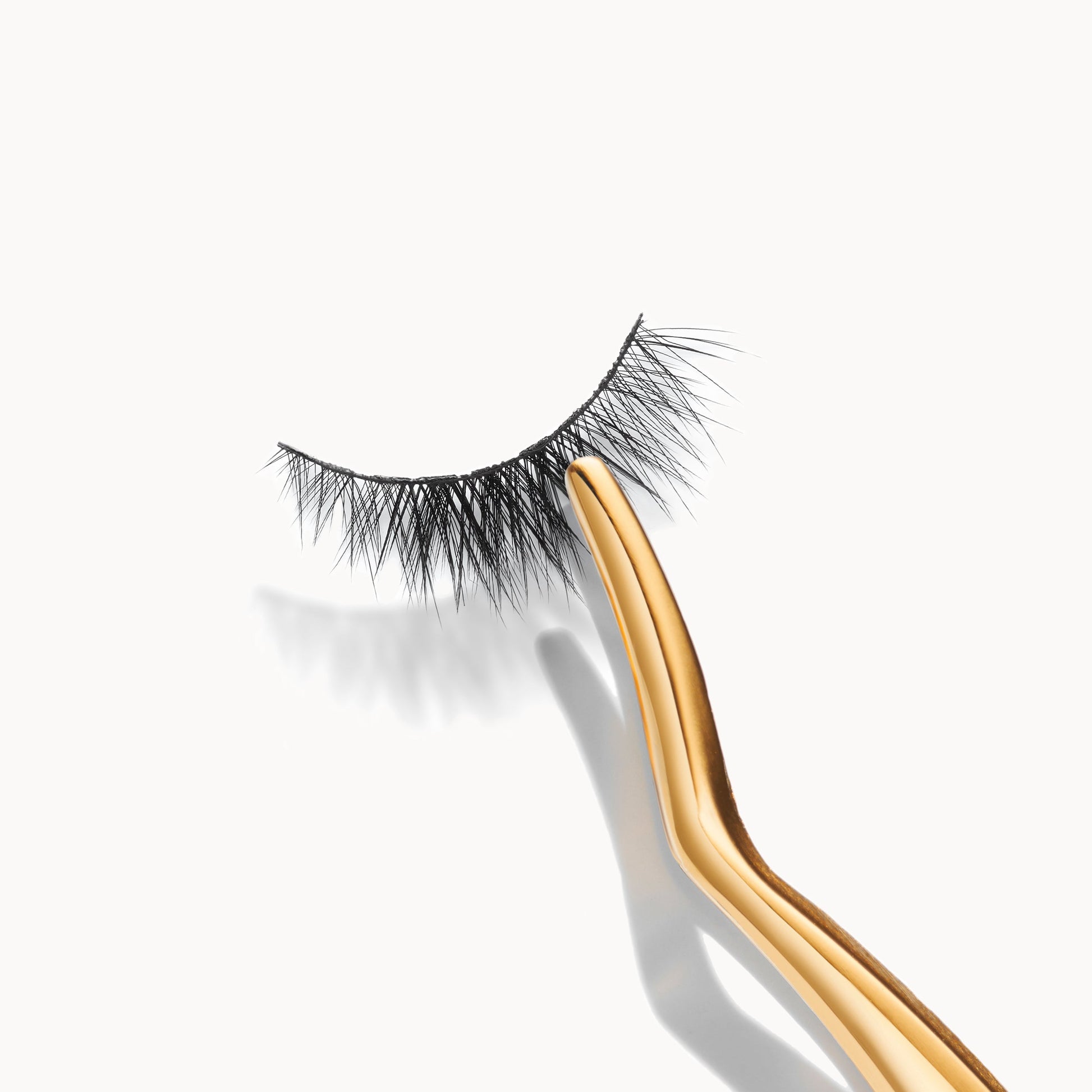 Lash Applicator