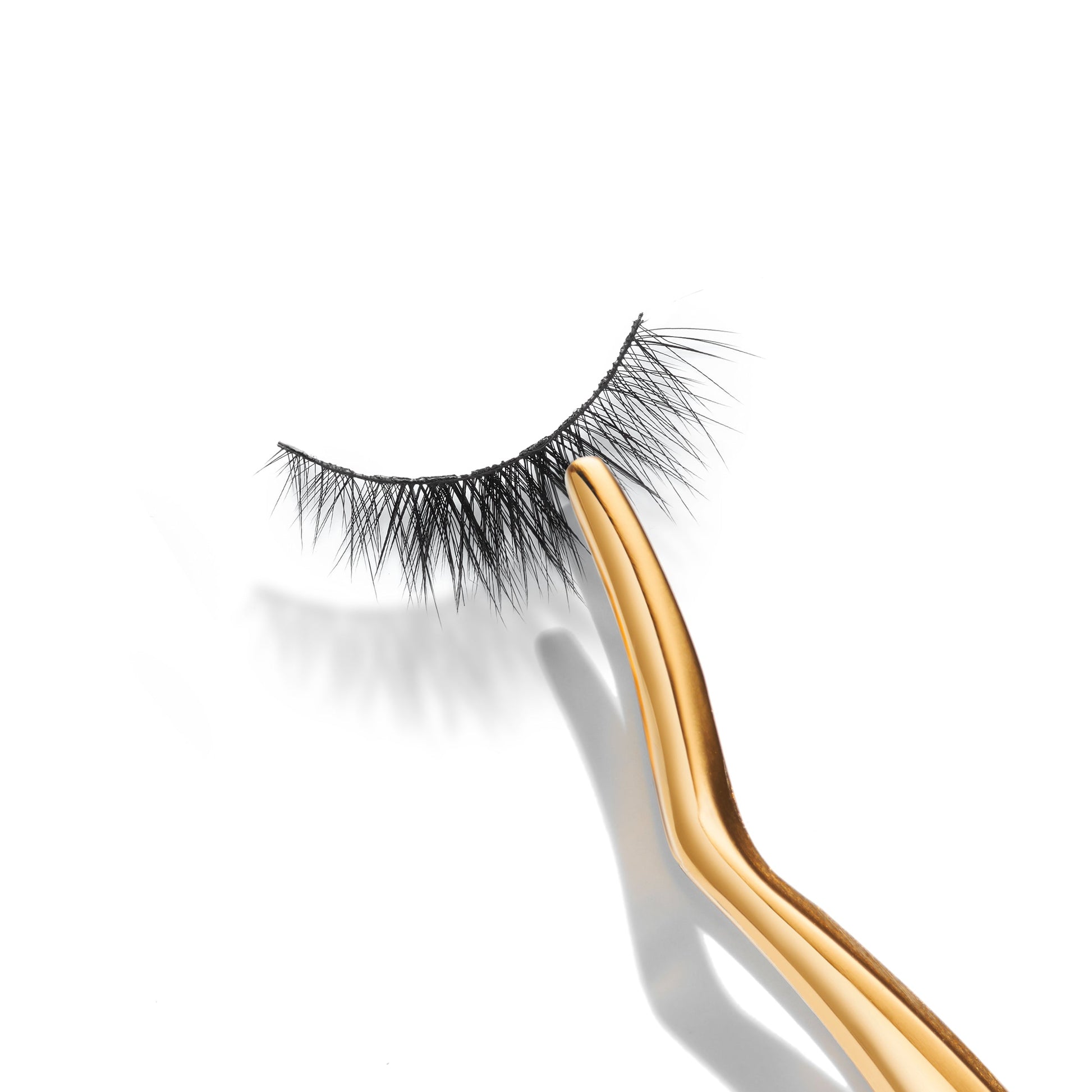 Lash Applicator