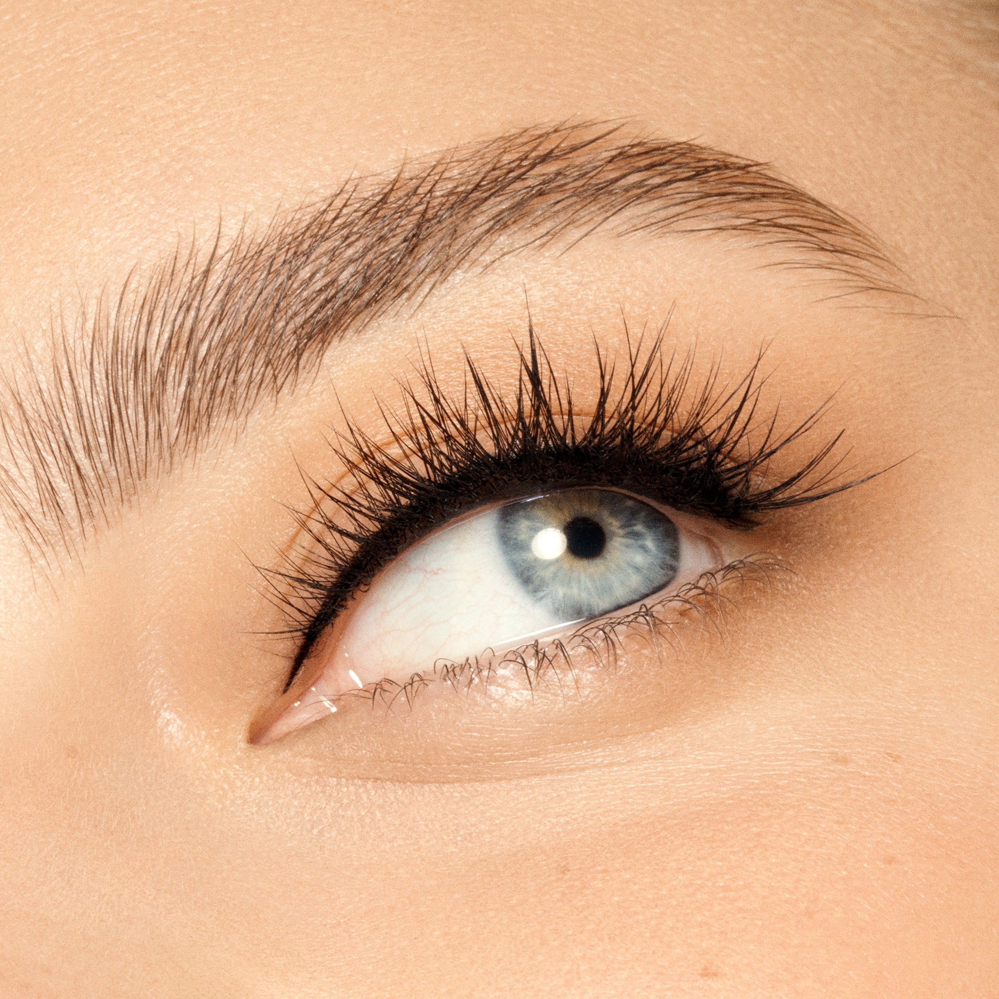 Full Lash