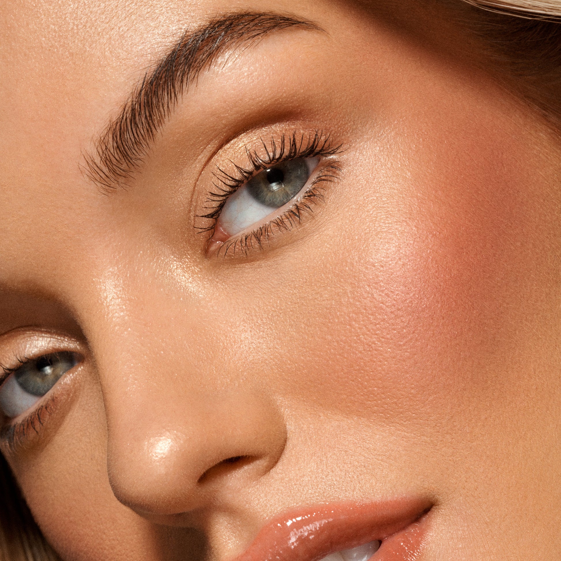 Sunset Blush