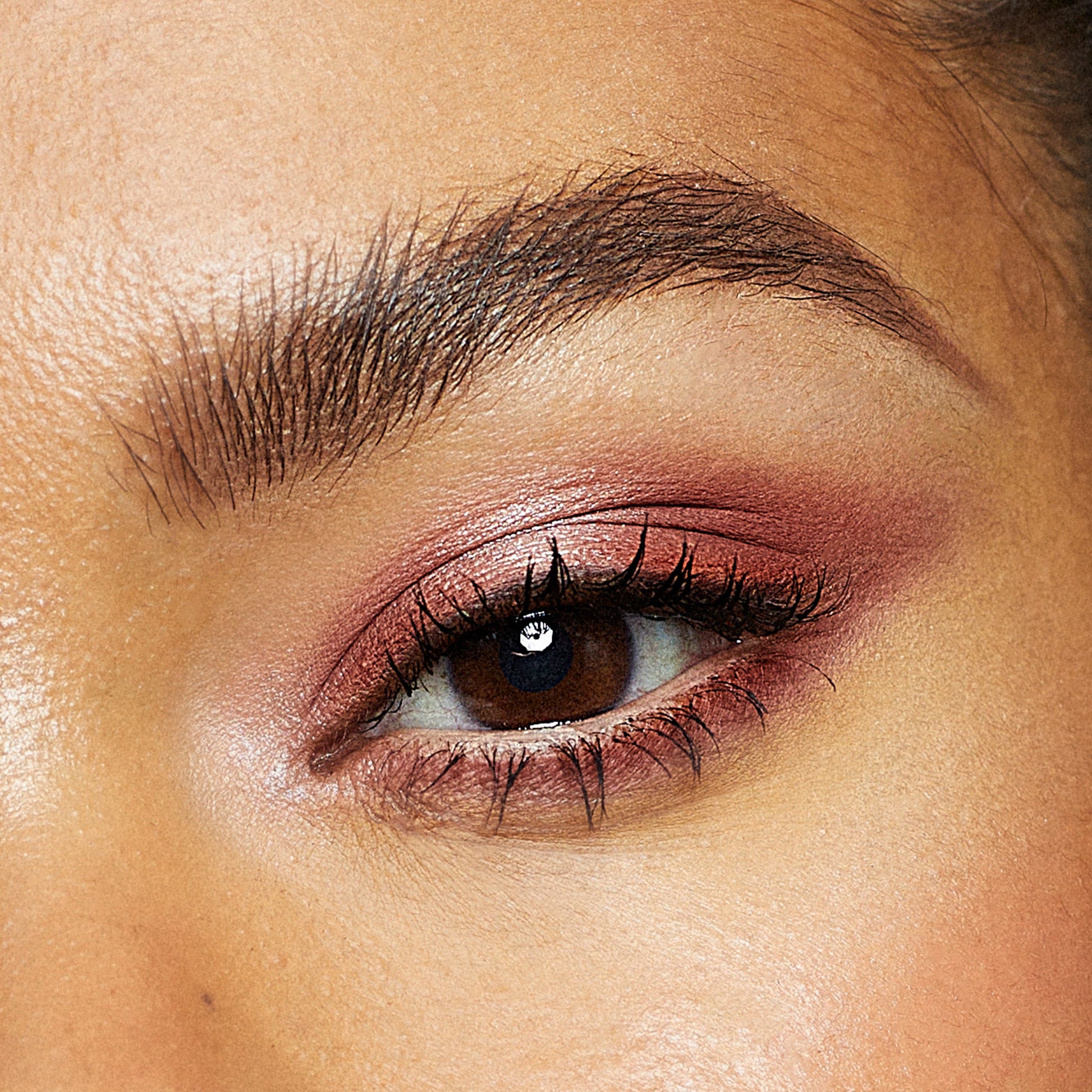 The Muse Eyeshadow Palette