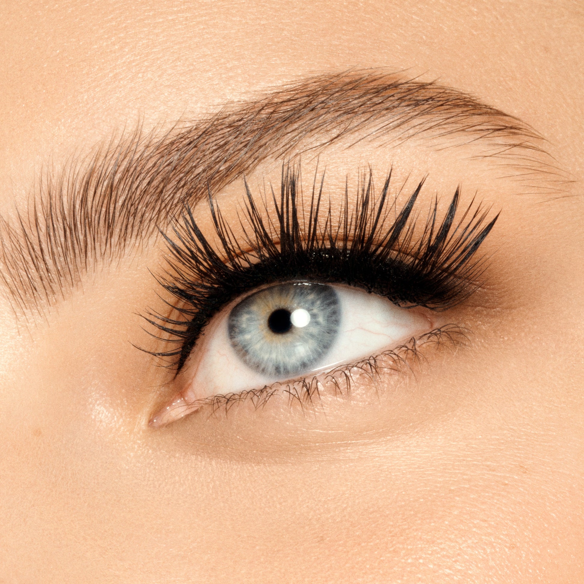 Full Lash