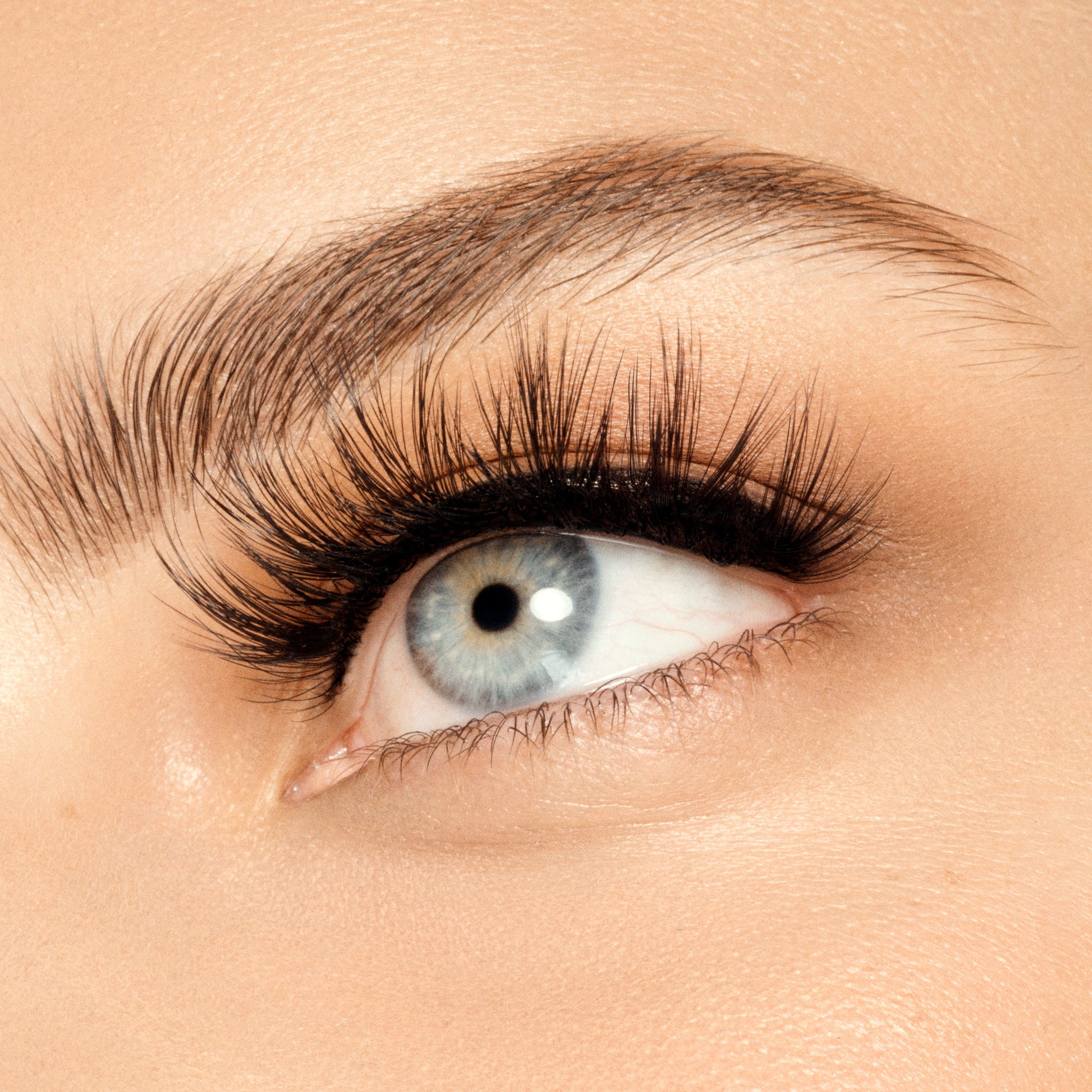 Full Lash