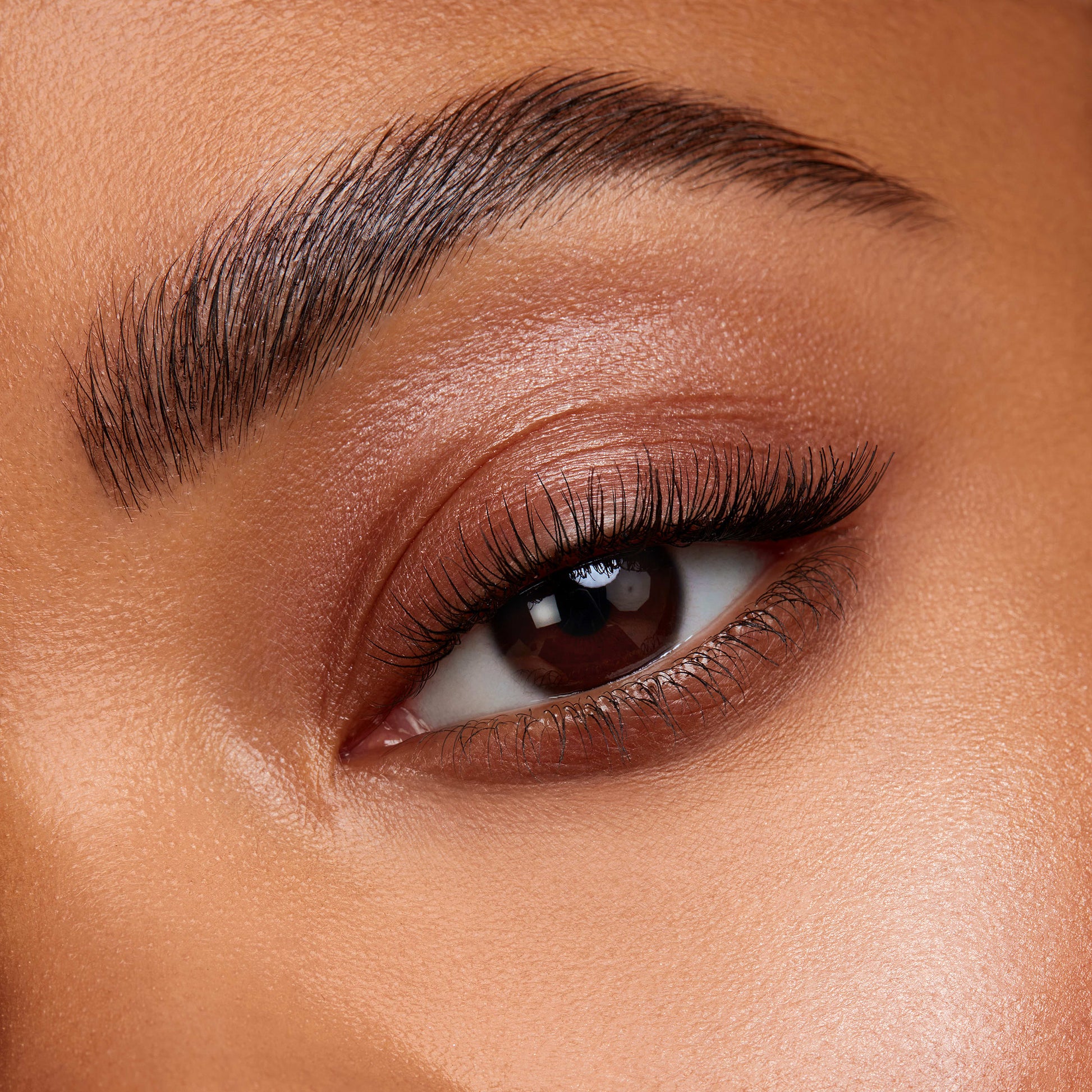 Kybrow Kit