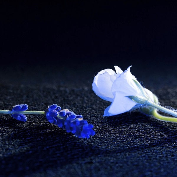 LA NUIT DE L'HOMME BLEU ÉLECTRIQUE Eau de Toilette