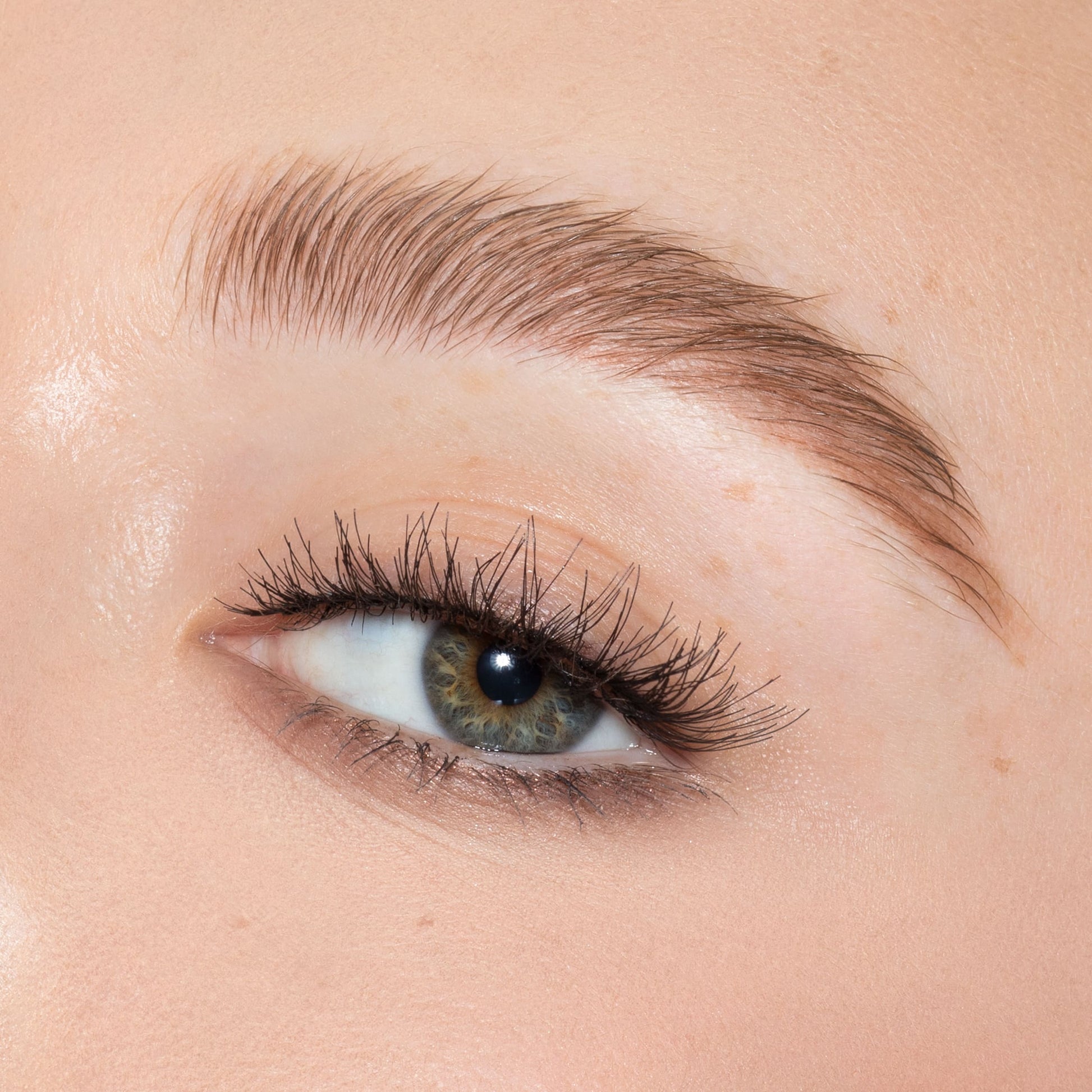 Kybrow Kit